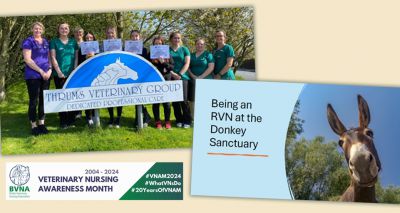 Veterinary Nursing Awareness Month competition winners revealed